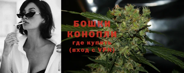 ешки Заводоуковск